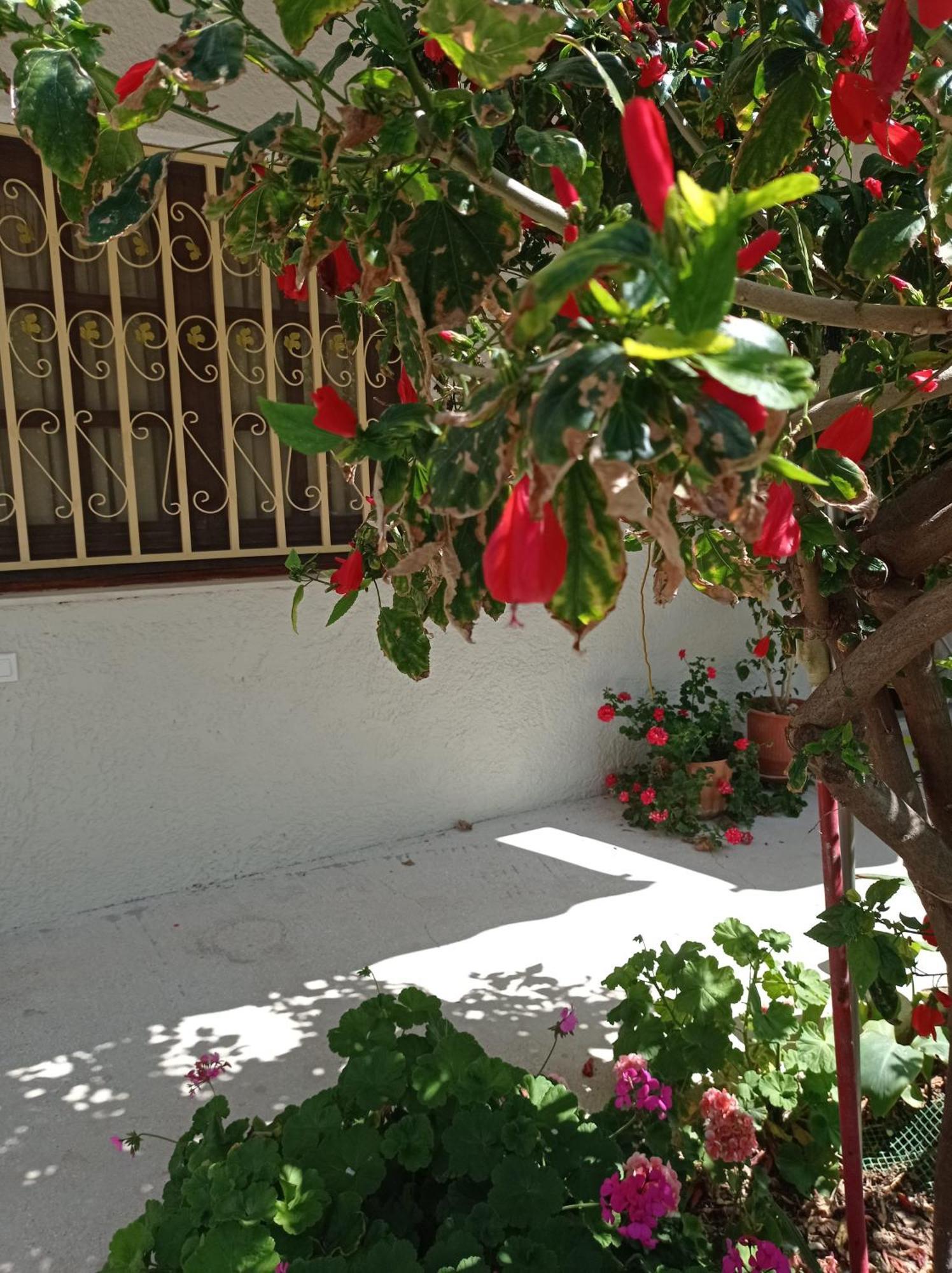 Tasos Seagull Apartments Chania  Exterior photo